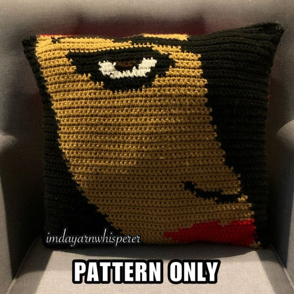 Aaliyah Pillow Pattern